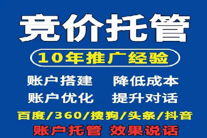 SEM专员实战案例解析